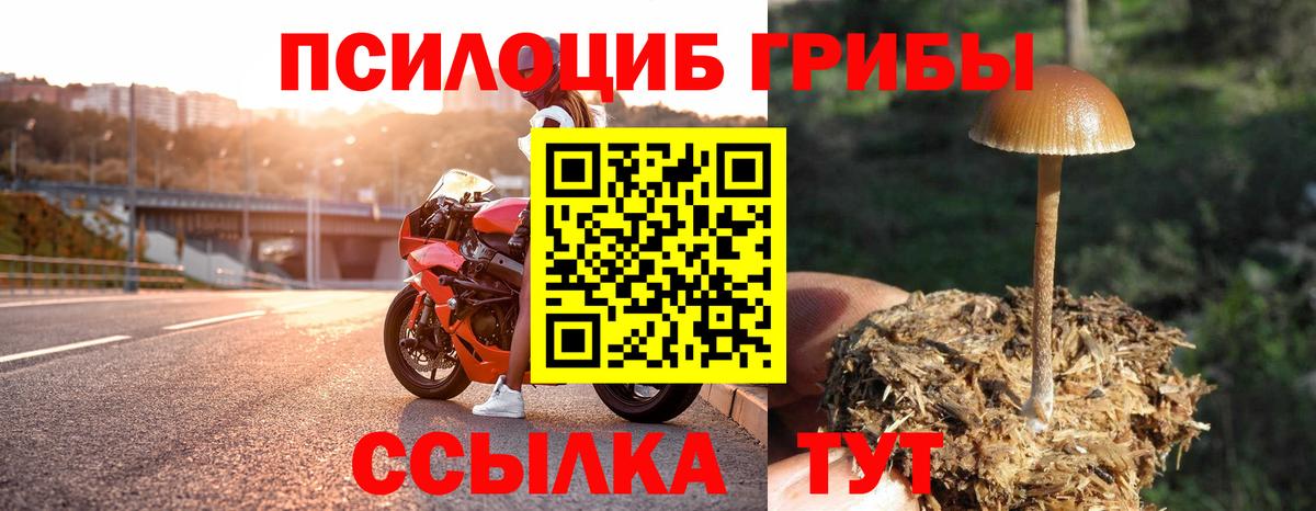 Нижнекамск  Псилоцибиновые грибы Psilocybe  Галлюциногенные грибы Magic Shrooms  Вход с VPN 