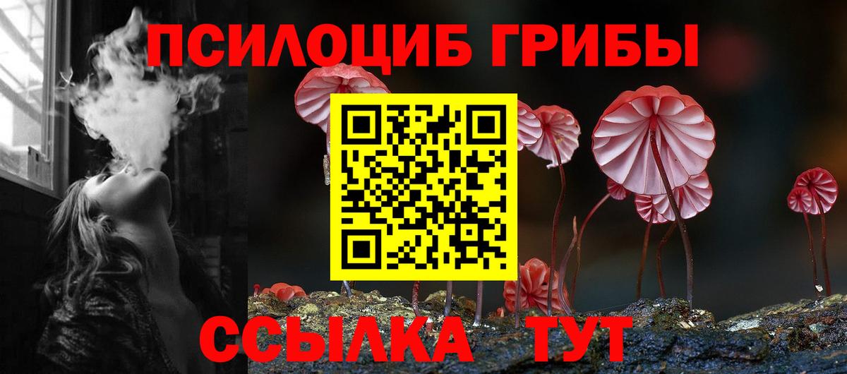 Галлюциногенные грибы Psilocybe Нижнекамск